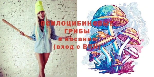 дмт Белокуриха