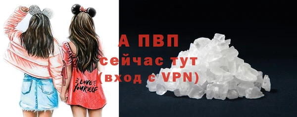 дмт Белокуриха